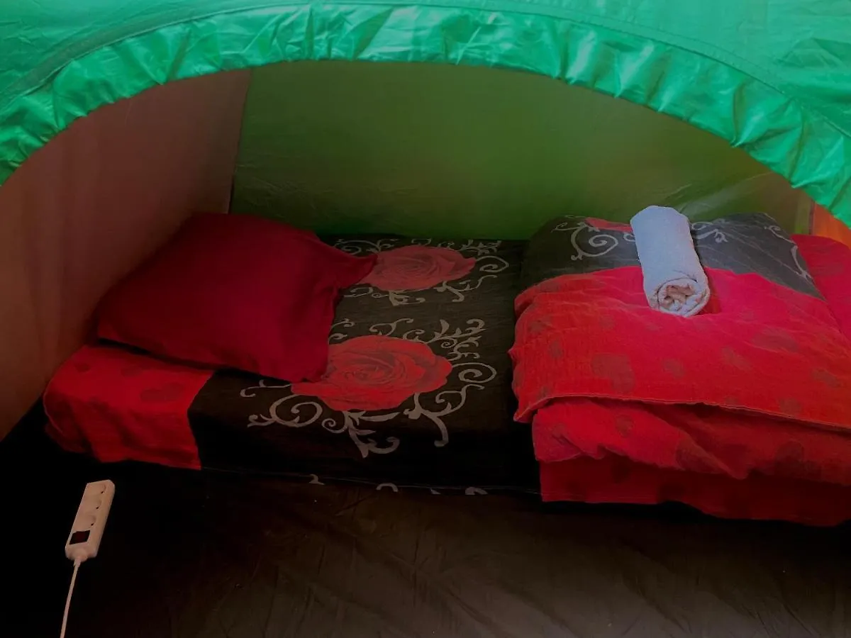 Hotel Tents In Georgia Tbilisi Gruzja